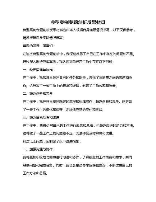 典型案例专题剖析反思材料