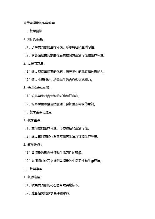 关于黄河象的教学教案