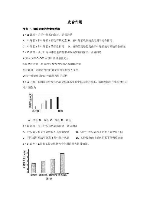 高考真题(近五年)：光合作用