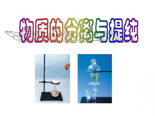 苏教版必修一常见物质检验的课件.