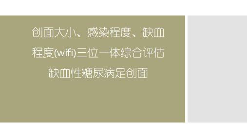 创面大小、感染程度、缺血程度(wifi)三位一体综合评估缺血性糖尿病足创面