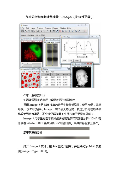 灰度分析和细胞计数神器：ImageJ（附软件下载）