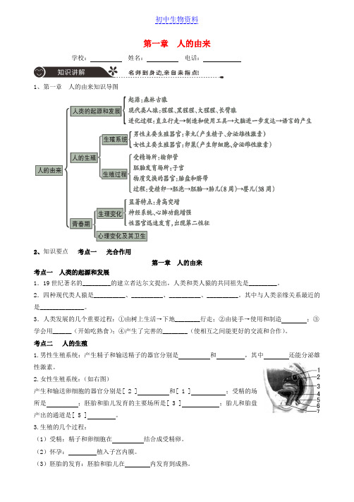 中考生物专题复习第四单元生物圈中的人第一章人的由来