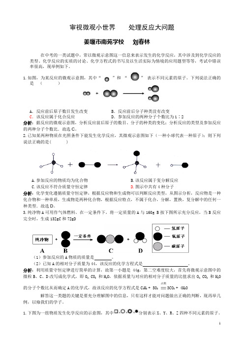 审视微观小世界    处理反应大问题