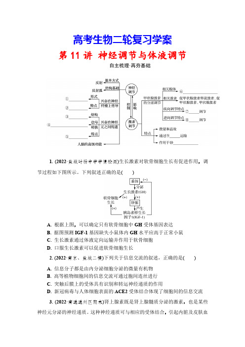 高考生物二轮复习学案：第11讲  神经调节与体液调节