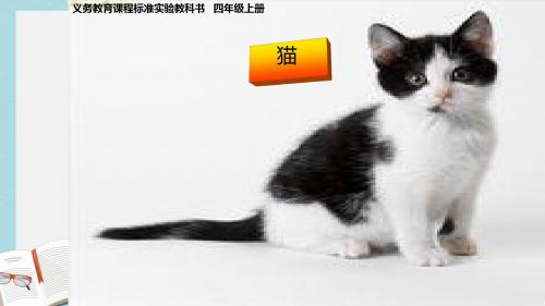 人教版四年级语文上册15《猫》ppt课件