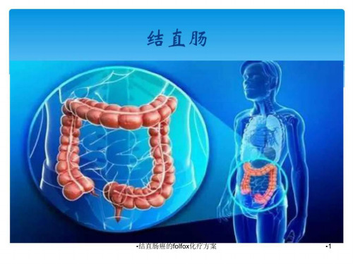 结直肠癌的folfox化疗方案课件