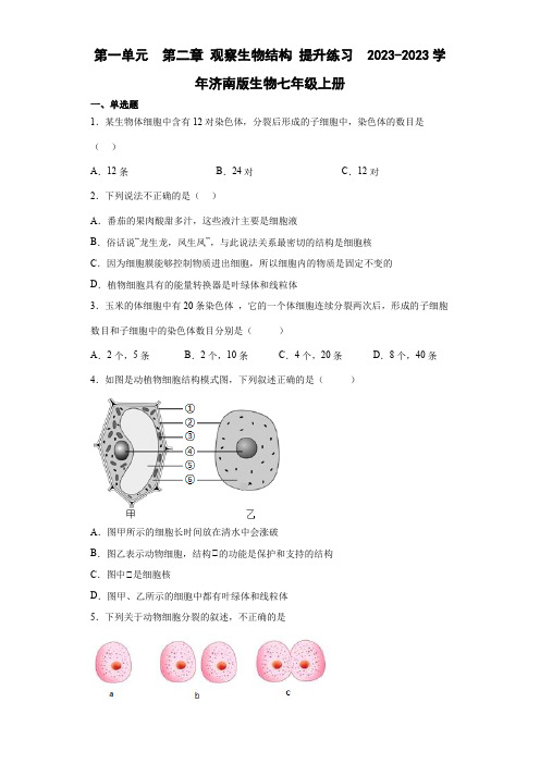 2023学年济南版生物七年级上册 第一单元  第二章 观察生物结构 提升练习 (含解析)