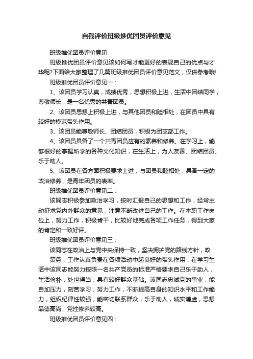 自我评价班级推优团员评价意见