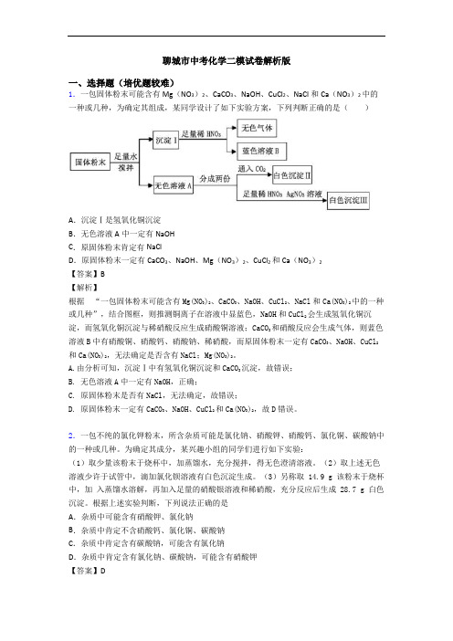 聊城市中考化学二模试卷解析版