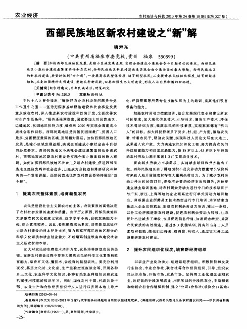 西部民族地区新农村建设之“新”解