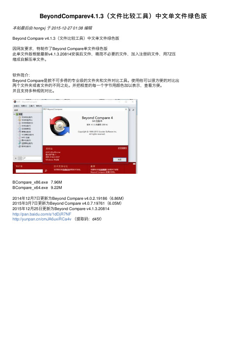 BeyondComparev4.1.3（文件比较工具）中文单文件绿色版