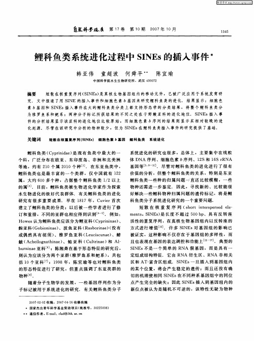 鲤科鱼类系统进化过程中SINEs的插入事件