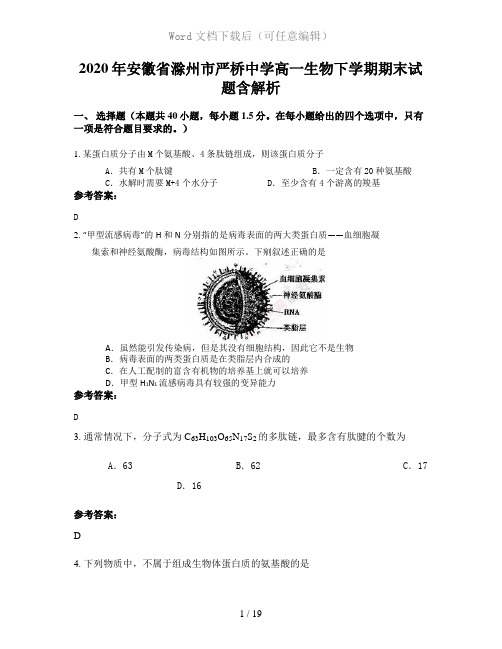 2020年安徽省滁州市严桥中学高一生物下学期期末试题含解析