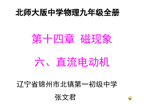 北师大版九年级全一册物理《六、直流电动机》(一等奖课件)