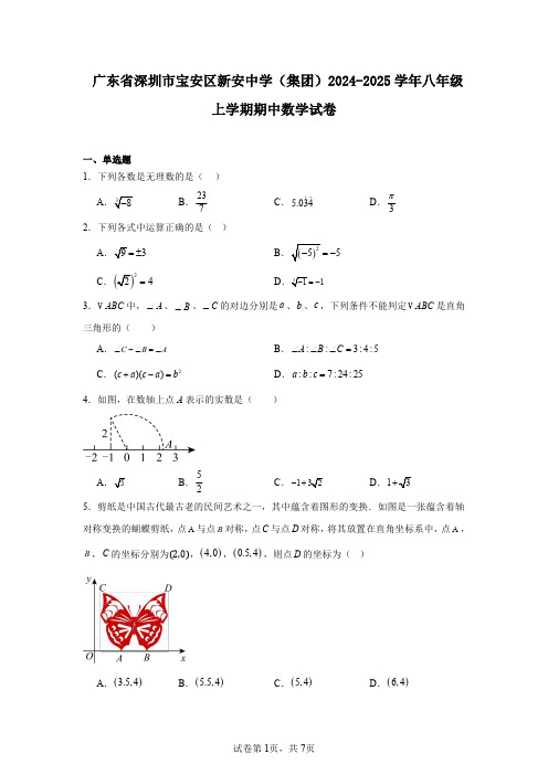 广东省深圳市宝安区新安中学(集团)2024-2025学年八年级上学期期中数学试卷