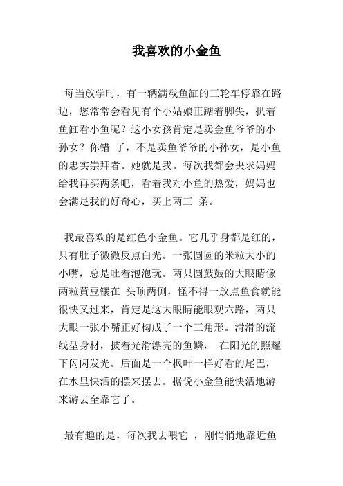 我喜欢的小金鱼