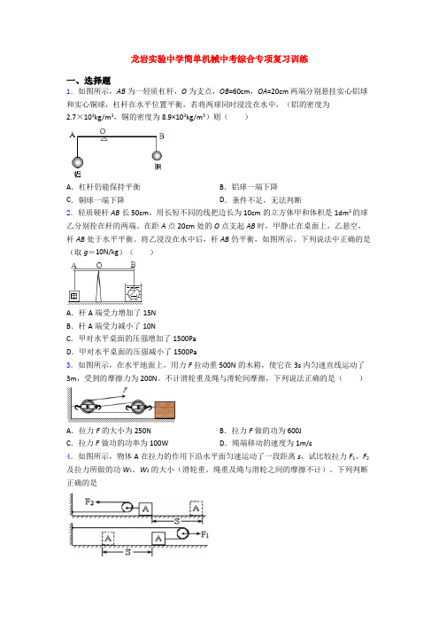 龙岩实验中学简单机械中考综合专项复习训练