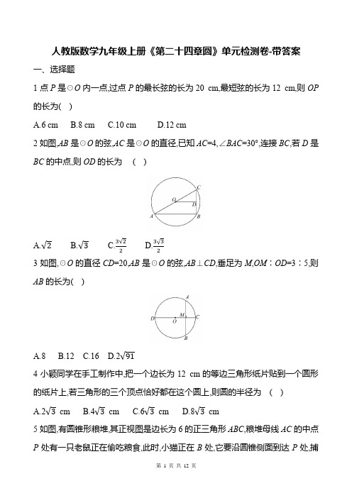 人教版数学九年级上册《第二十四章圆》单元检测卷-带答案