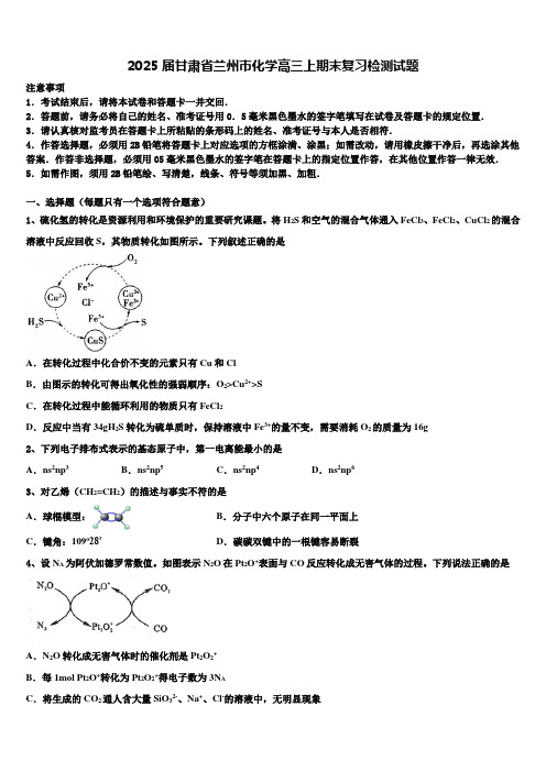 2025届甘肃省兰州市化学高三上期末复习检测试题含解析