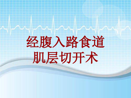 外科手术教学资料：经腹入路食道肌层切开术讲解模板