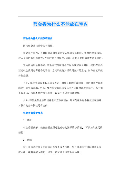 郁金香为什么不能放在室内