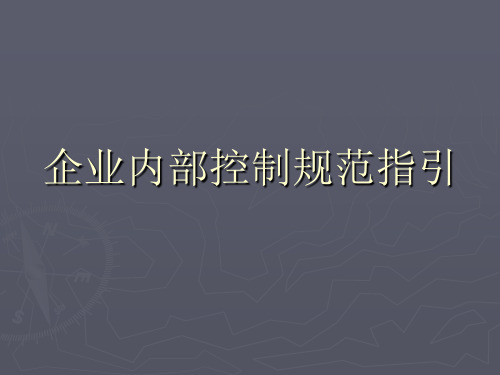 企业内部控制规范指引