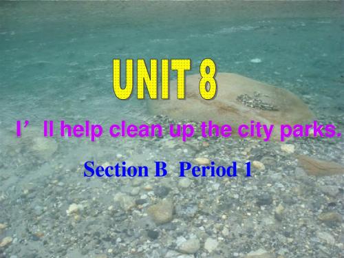 (新目标)九年级上 Unit8 I’ll help clean up the city parks Section B  课件