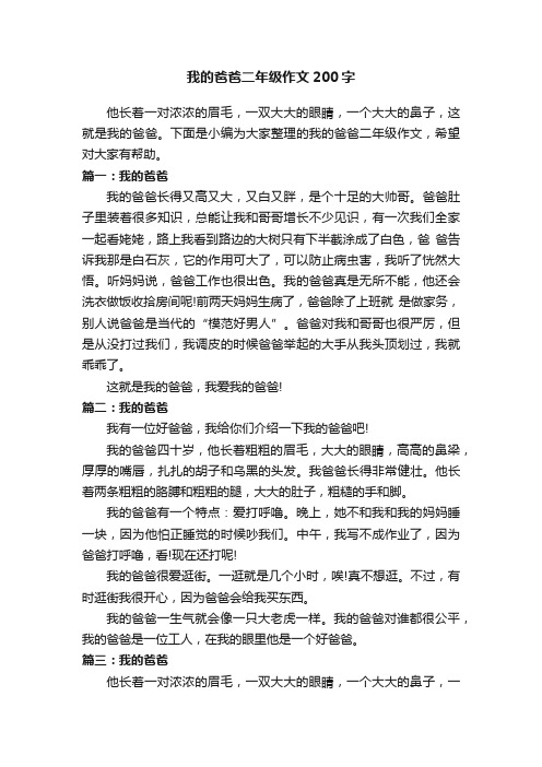 我的爸爸二年级作文200字