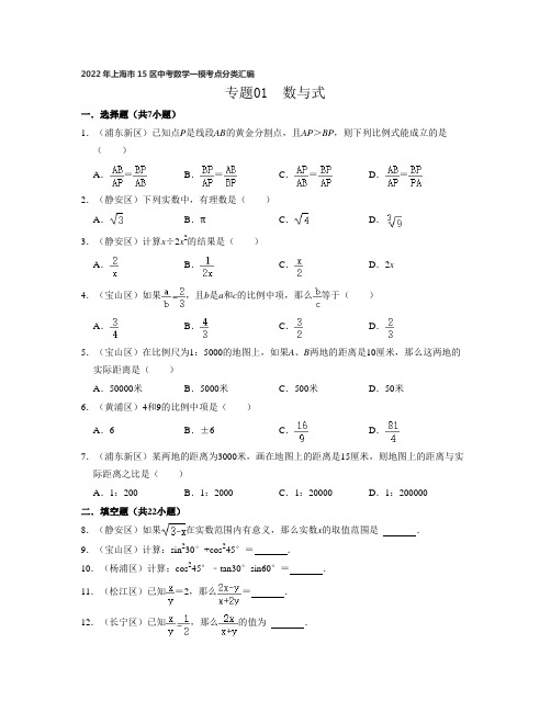 2022年上海15区中考数学一模考点分类汇编专题01  数与式 带详解