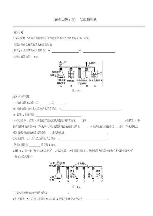 中考化学复习题型突破05实验探究题试题(沪教版附答案)含答案