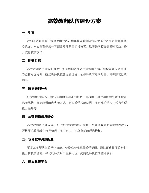 高效教师队伍建设方案