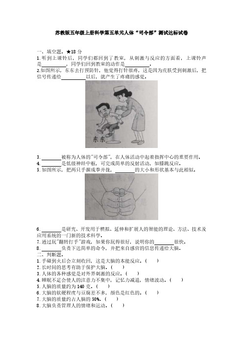 苏教版五年级上册科学第五单元人体“司令部”测试达标试卷