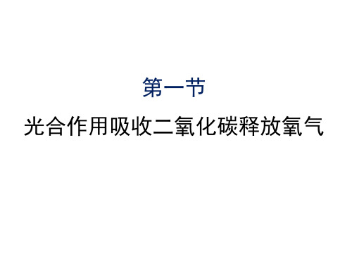 【公开课课件】人教版七年级上：光合作用吸收二氧化碳释放氧气课件全面版