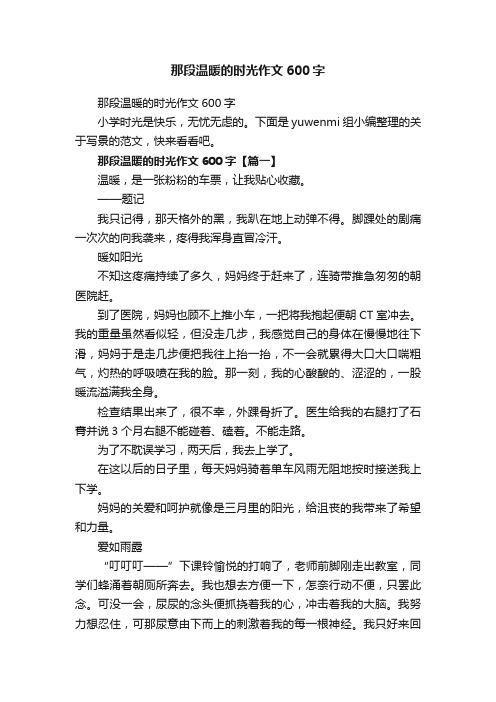 那段温暖的时光作文600字