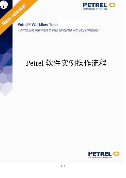 Petrel中文说明书