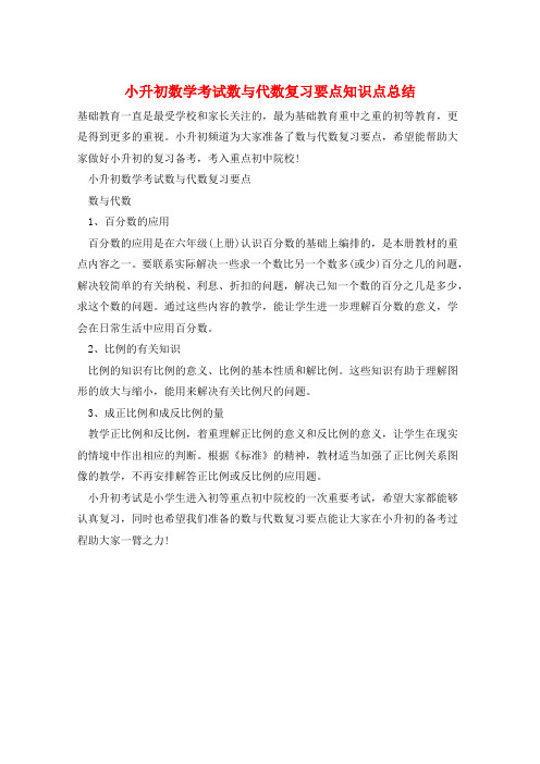 小升初数学考试数与代数复习要点知识点总结  