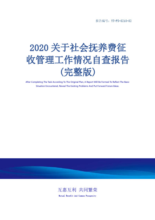 2020关于社会抚养费征收管理工作情况自查报告(完整版)