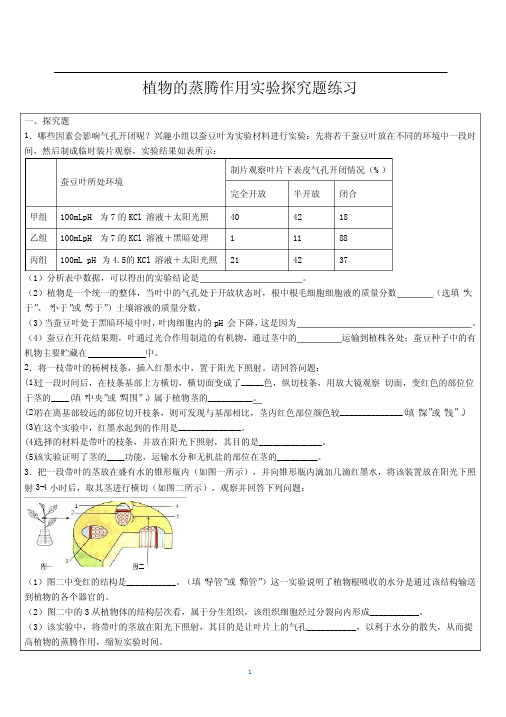 植物的蒸腾作用的实验探究