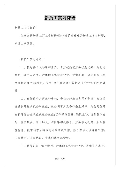 新员工实习评语