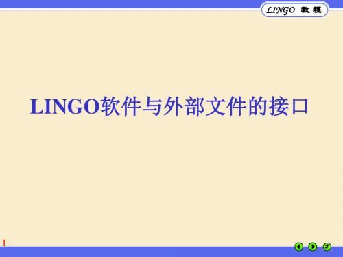 LINGO教程数据输入输出课件