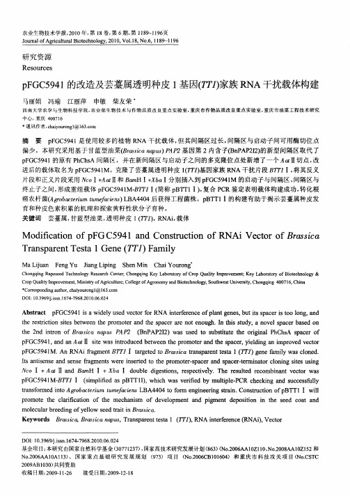 pFGC5941的改造及芸薹属透明种皮1基因(TT1)家族RNA干扰载体构建