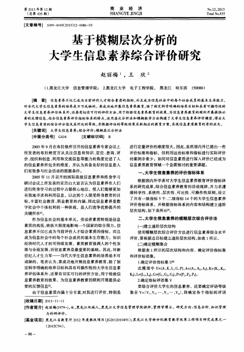 基于模糊层次分析的大学生信息素养综合评价研究