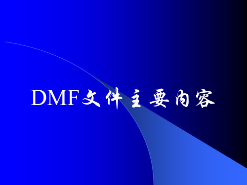 DMF文件主要内容