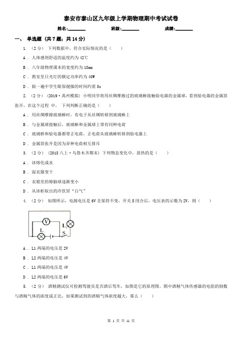 泰安市泰山区九年级上学期物理期中考试试卷