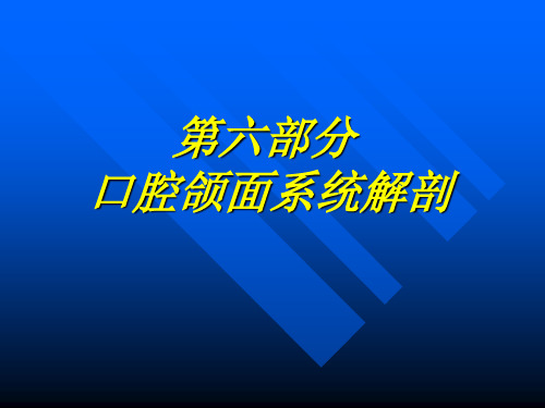 第六部分口腔颌面系统解剖