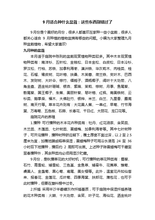 9月适合种什么盆栽：这些东西别错过了