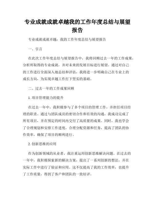 专业成就成就卓越我的工作年度总结与展望报告