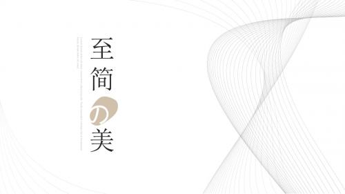 极简风格公司介绍企业宣传产品介绍PPT模板