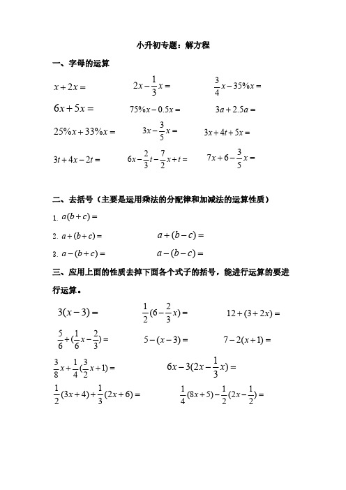 青岛版小学数学六三制六年级下册小升初专题：解方程